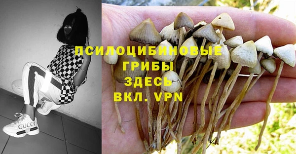 стафф Абаза